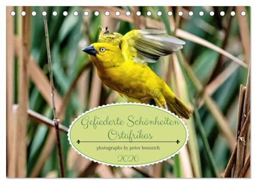 Gefiederte Schönheiten Ostafrikas (Tischkalender 2026 DIN A5 quer), CALVENDO Monatskalender: Dieser Kalender ist eine visuelle Hommage an die ... Bewohner Ostafrikas. (CALVENDO Tiere)