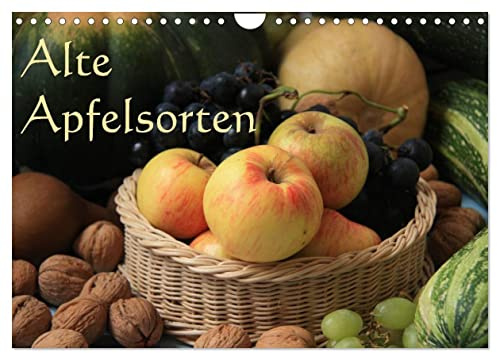 Alte Apfelsorten (Wandkalender 2026 DIN A4 quer), CALVENDO Monatskalender: Alte Apfelsorten - vom Berlepsch bis zum Tiroler Maschanzker - frisch angerichtet (CALVENDO Lifestyle)
