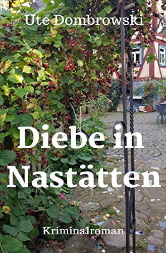 Diebe in Nastätten (Blaues-Ländchen-Krimi)