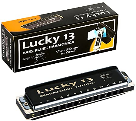 East top Lucky 13 Bass Plus Blues Harmonica 13 Holes Diatonic Harp Mouth Organ Professional Musical Instruments Diminished C Key harmonica for Adults