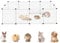 YRHome Freigehege Gittergehege für Kaninchen Hasen Meerschweinchen Gehege Freilauf Hamster Welpengehege Kleintiergehege Hasenstall Laufgitter Kleintierkäfig 12-Platten mit Türen Weiß 145x75x48cm