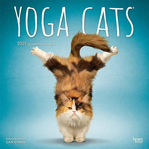 Yoga Cats - Joga-Katzen 2021 - 16-Monatskalender: Original BrownTrout-Kalender [Mehrsprachig] [Kalender] (Wall-Kalender)