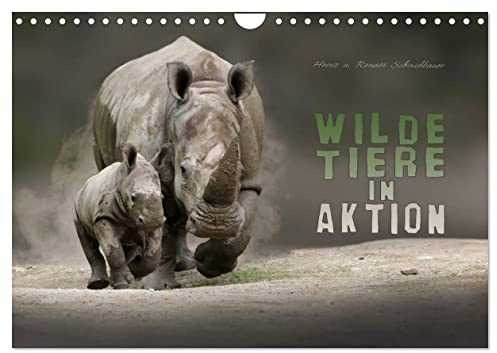 WILDE TIERE IN AKTION (Wandkalender 2026 DIN A4 quer), CALVENDO Monatskalender: Spektakuläre Aktionsbilder wilder Tiere aus aller Welt. (CALVENDO Tiere)