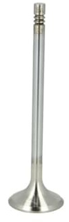 TRW 261133 Exhaust Valve