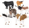 Terra Bauernhoftiere Figuren – Kühe, Bullen, Esel – 6 Realistische Tierfiguren Set, Kinder Bauernhof Spielzeug für Mädchen und Jungen ab 3 Jahre