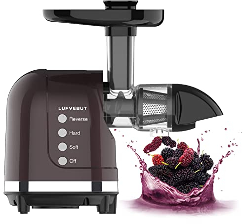 Slow Juicer for Vegetable and Fruit, Cold Press Juicer Machines with Quiet Motor, Reverse Function, BPA Free, Easy Clean Masticating Juicer Extractor for Orange Celery Carrots Ginger Apples Pears