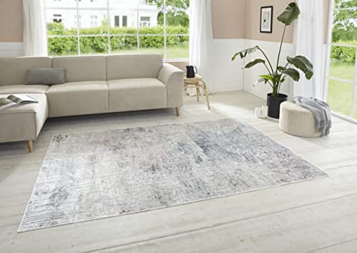 Chameis Kurzflor Teppich – Vintage-Look Viskose Klassisch leicht glänzend Relief-Optik Marmor-Optik Design Used-Look für Wohnzimmer Küche Flur oder Schlafzimmer Grau Rosa Blau, 95x140cm