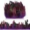 GORGECRAFT 5m*(13~18cm) Adorno de Flecos de Plumas de Gallo Adornos de Plumas Artesanales Púrpuras Decoración Cinta de Adorno de Plumas Naturales para Bricolaje Chal Sombrero Halloween Carnaval