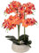 Atmosphera - Künstliche Orchidee im Topf Sanae orangefarbener zementtopf h65cm