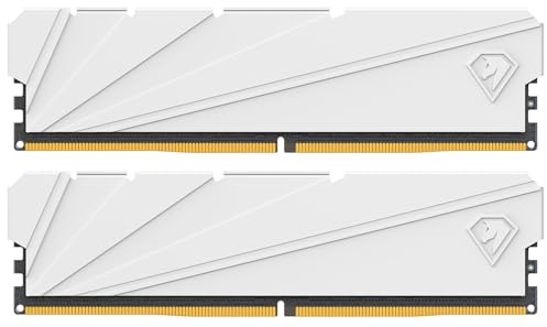 Netac DDR4 RAM 16 GB (2 x 8 GB) 3200 MHz C16 XMP 2.0 High Performance Desktop Workstation Kit, bianco