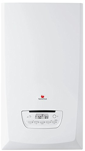 Caldaia Saunier Duval Themafast Condens F30