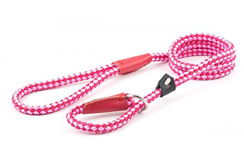 Ancol Heritage Nylon Rope Slip Lead for Dog, 120 cm x 10 mm/120 cm x 12 mm/150 cm x 12 mm, Raspberry, transparent