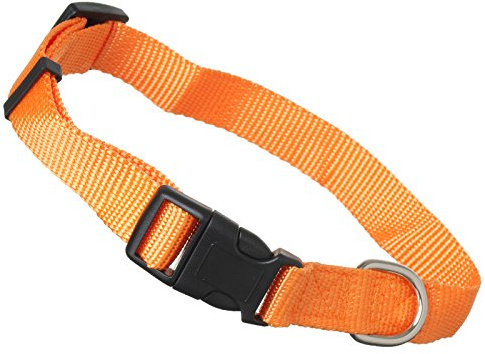 Scarlet pet | Hundehalsband »Universal« mit Klickverschluss und Längenverstellung; Diverse Farben und Größen; Robustes Nylon (L: 32-49 x 2,5 cm/Orange)