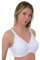 Ladies White Non Wire Cotton Rich Bra (36 G, White)