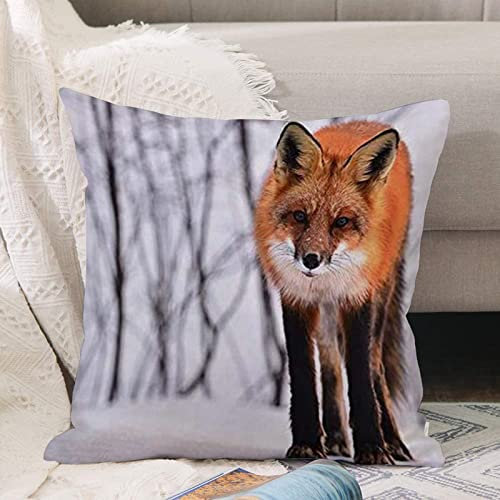 Kissenbezug 45x45 cm,Netter Fuchs-Tier-Tier-Winter-Wald Vivid,Outdoor Kissen Kissenbezüge Kissenhülle Sofa Kissen dekokissen Zierkissen für Wohnzimmer Garten deko draußen