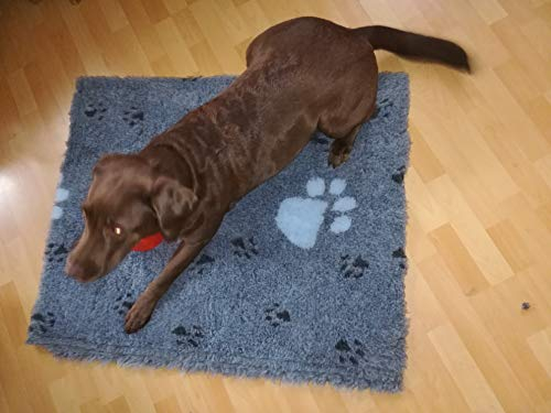 Drybed Original rutschfest, in grau mit Pfoten,Größe 100x75cm, Hundebett, Liegedecke, Hundedecke,Ruheplatz, Trocken