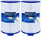 Cryspool MPT-Gewinde Spa-Filter ersetzt Watkins 303279, FC-2402, Free Flow und Lifesmart Whirlpool-Filter, 1 1/2 Zoll Feingewinde, 2 Stück