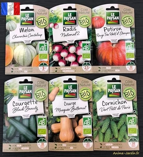 Lot de 6 sachets de graines, légumes Bio, Melon, radis, courgette, potiron, courge, cornichon