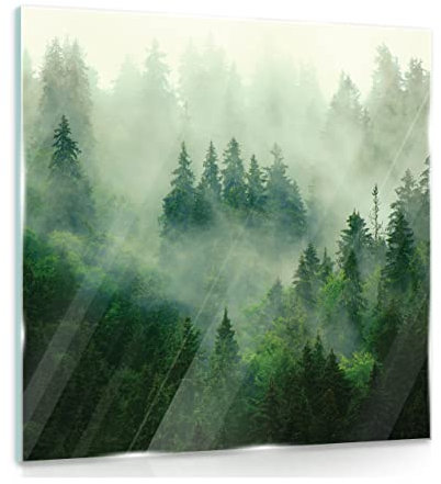 Glasbild Wald im Nebel Natur Landschaft 30x30 cm Modern Glasbilder Wohnzimmer Schlafzimmer Badezimmer Bilder auf Glas Bild Klein einteilig Quadratisch Wandbild Wandbilder Aufhängfertig