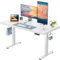 HUANUO One-Piece Desktop 2-Stage leg Standing Desk 120x80cm with Brushless Motor, Height Adjustable Standing Desk, Electric Sit Stand Desk for Home Office, Stand up Desk with Whole Board