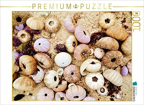 Puzzle · Mauritius, Seeigelhüllen | 1000 Teile · Lege-Größe 64 × 48 cm · CALVENDO Puzzle