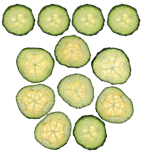 SEWACC 12st Gemüsescheiben Handgemachte Blumendekoration Handyhülle-anhänger Trockenpressung Blumig Handgemachte Obstdekoration Getrocknetes Gepresstes Gemüse Epoxidharz Pflanze Eben Kind