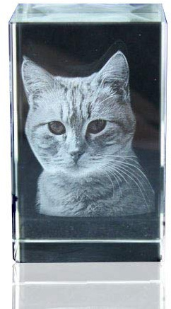 VIP-LASER 3D Glaskristall Größe L graviert mit dem Foto Ihrer Katze