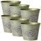 Oairse 6 vasi per piante da esterni, zincati, in zinco, fioriere da giardino, vasi per piante in metallo, vintage, rotondo, vaso per fiori, contenitore rustico per piante o casa decorativa moderna per