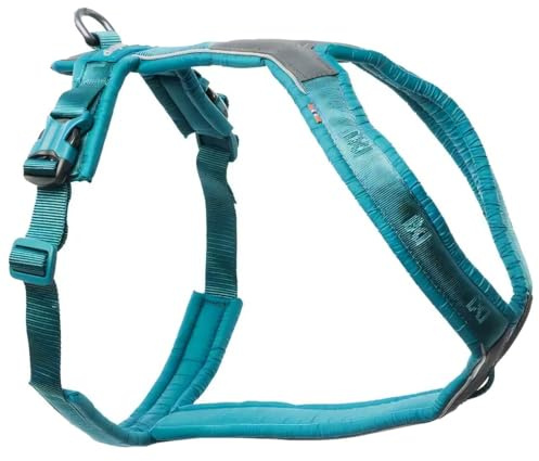 Non-Stop dogwear Line Harness 5.0 |214| Fhr und Alltagsgeschirr, Farbe:Teal, Gre:1