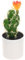 PRETYZOOM Plante Artificielle Cactus en Plastique - DéCoration De Bureau, Maison, Mariage - Entretien Facile