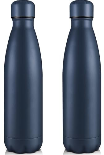 Volhoply 750ml Insulated Water Bottles, Double Wall Stainless Steel Vacuum Flask Keeps Cold 24H & Hot 12H, BPA Free Leakproof Bottle (Nvay,2 Pack)