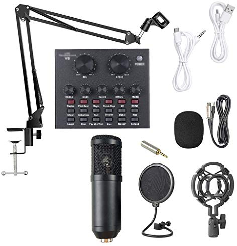 New Live Sound Card Microphone Set Voice Changer Multifunctional Audio Interface Intelligent Volume Mic for Broadcast | Style two