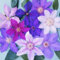 GardenersDream 3 x Mixed Clematis Plants in Potsâ€”Outdoor Garden Ready Climbing Plant Colourful Flowering Shrubs for Gardens, Walls, and Fences - Vibrant Outdoor Plants (20-30 cm, incl. 9 cm Pot)