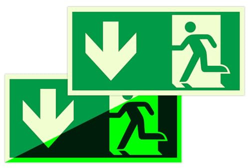 Notausgangsschild Nachleuchtend Fluchtwegschilder Nachleuchtend Schild Notausgang - 2 PCS Notausgang Schild Selbstklebend aus PVC, 30 x 15CM, Langes Nachleuchte Hohe Sichtbarkeit, für Haushalt & Büro