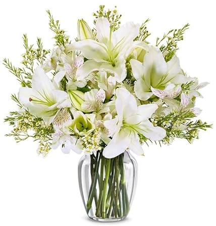 From You Flowers - Life Well Lived Lily Bouquet with Glass Vase | Fresh Flower Bouquets for Birthday, Anniversary, Get Well or Celebration
