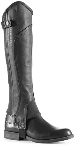 HORZE Quinton Leather Half Chaps - Black - XL