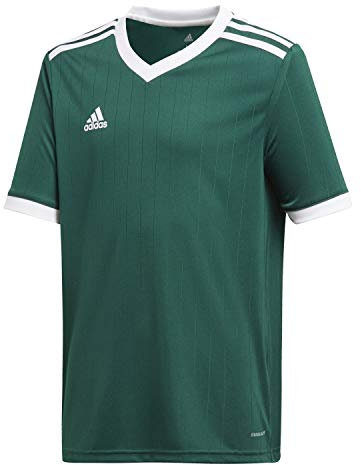 adidas Performance Tabela 18 Trikot Kurzarm Kids Dunkel gruenweiss, 164 Kinder