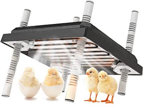 Placa calefactora para pollitos, altura y ángulo ajustables, para pollitos/patos termostato (10x10 pulgadas) para 15 pollitos, color negro