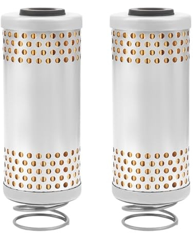 Filtro olio per Moto Filtro aria per moto, adatto per Moto Guzzi V7 V9 V35 V50 V65 V85 GU27153085 2A000633 SP 750 Filtro olio per motociclette(2pcs)
