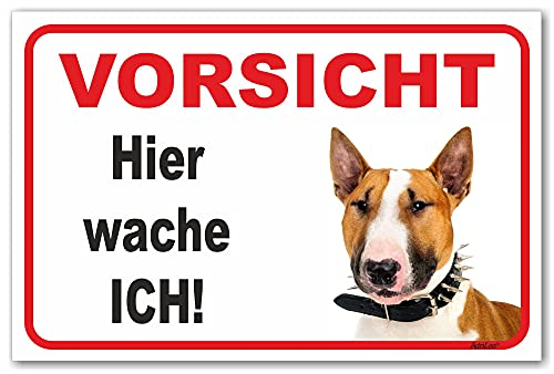 AdriLeo Schild - Vorsicht Bullterrier - Hier wache ich - (15x20cm) / Hellbraun/weiß - Achtung Hund Wachhund robust langlebig UV-beständig wetterfestes Warnschild