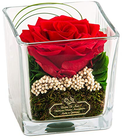 Rosen-Te-Amo |Ewige Rose im Glas mit Rosenduft, handgefertigt |Premium haltbare Rose in Geschenkbox | Geschenk für Frauen|Konservierte Blume zum Weihnachten, Valentinstag, Muttertag, Deko Geschenk