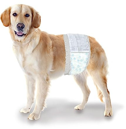 Four Paws Wee-Wee Disposable Male Dog Wraps, Medium/Large, 12 Count