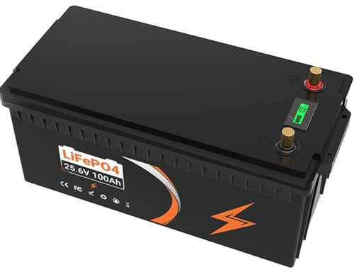 24V 100Ah LiFePO4 Battery with BMS - Deep Cycle Battery for RV/Solar/Boat/Marine/Trolling motor/Replace Most of Backup Power, 2560Wh