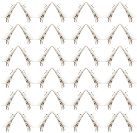 Angoily 150stücke Mini-haarspangen aus Metall mit Federclip für DIY-bastelbedarf als Fotoclips oder Haarspangen für Kleidung und Blumenarrangements