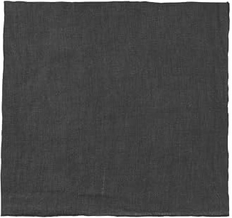 Blomus Lineo Magnetic Napkin B D 42 cm