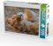 CALVENDO Puzzle Albern 1000 Teile Puzzle quer | 1000 Teile Lege-Größe 64 x 48 cm Foto-Puzzle für glückliche Stunden