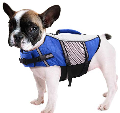 Queenmore Hunde Schwimmweste, Rettungsweste, Schwimmweste Hund kleine große, Rettungsweste für Kajak, Bootfahren, Schwimmweste französische Bulldogge, Dackel (blau, S)
