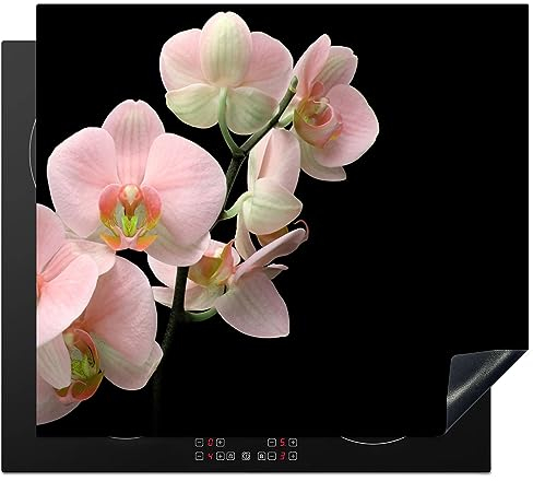 MuchoWow Herdabdeckplatte Ceranfeld Spritzschutz Küche Orchidee - Blumen - Rosa - Stilleben - Flora 57.6x51.6 cm Induktionsherd Abdeckung Induktionskochfeld Ceranfeldabdeckung