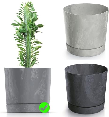 BirnePower Blumentopf Blumenkübel Übertopf Rund mit Untersetzer TUBO P Beton Effect Pflanzkübel Pflanztopf Matt (Grau, 240)