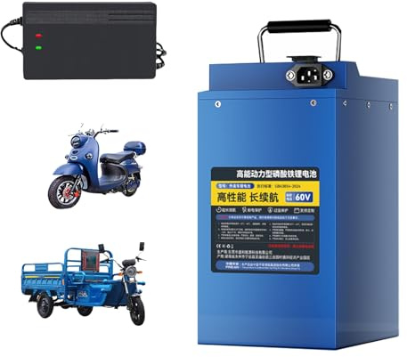 HJGHY 48v,20Ah, Batería de fosfato de Hierro y Litio LiFePO4 de 48 V y 60 V, 15 Ah, 20 Ah, 25 Ah y 30 Ah para Motocicletas eléctricas con Cargador para ciclomotores y triciclos.